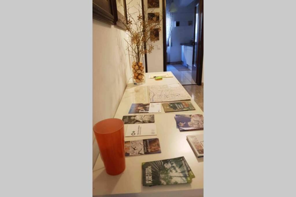 Appartamento Al Bo Padua Buitenkant foto
